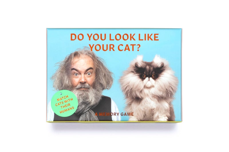 Laurence King Do You Look Like Your Cat? A Matching Memory Game - Image 2